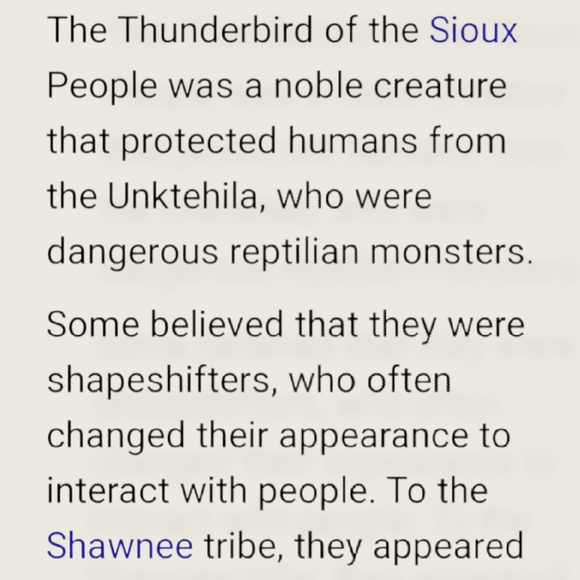 Native Am Thunderbird/Feather/Whip Charm Necklace - Picture 11 of 16